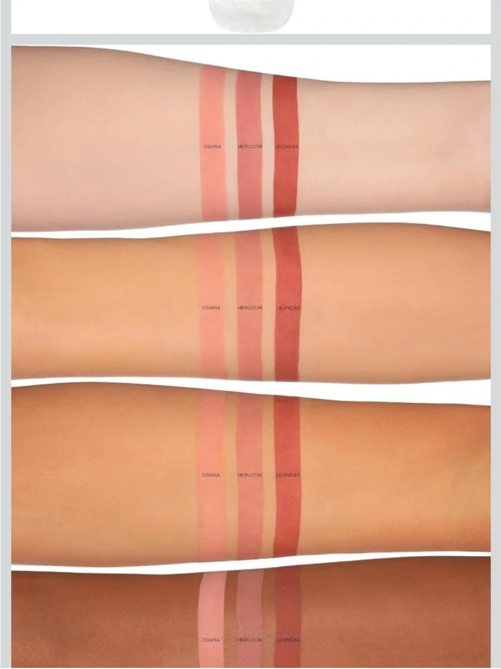 What's Up Beauty Rosehipitty Matte Liquid Blush -Shade Leonidas NEW